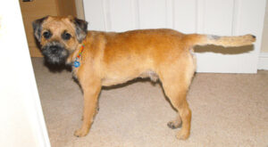 Media_httpthforgukwpc_mfemc