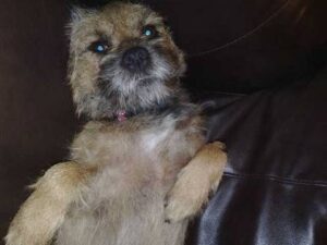 Media_httpmediashozuc_dlojq