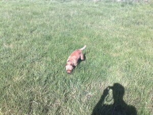 Media_httpstaticpixel_zdwsd