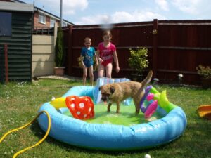 Summer-fun2