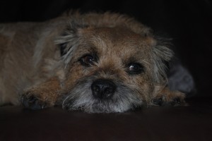 Pondering_george